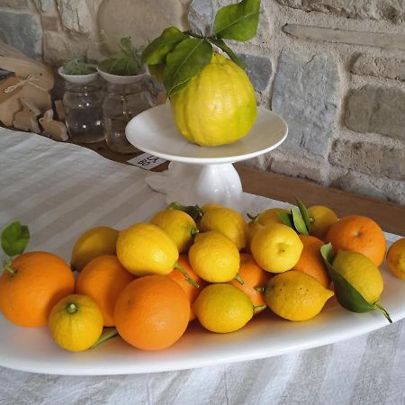 Il Fienile Bed & Breakfast Fagagna Eksteriør bilde