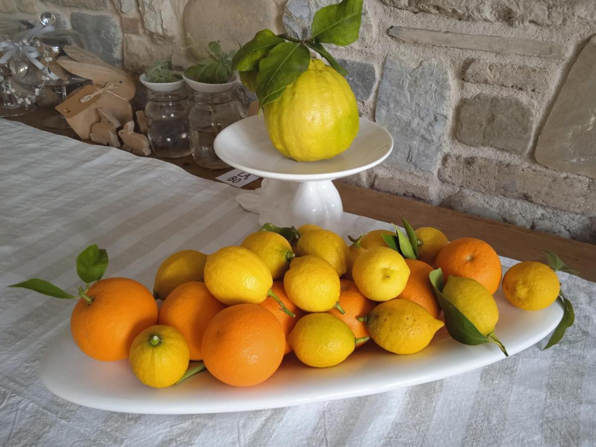 Il Fienile Bed & Breakfast Fagagna Eksteriør bilde